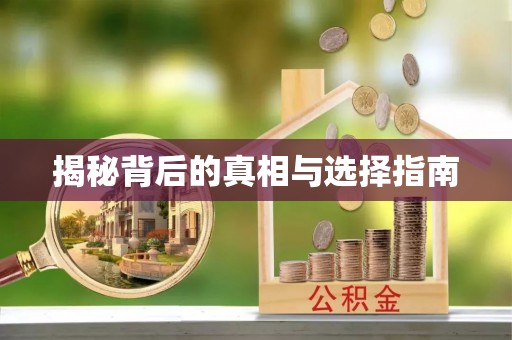 汨罗揭秘背后的真相与选择指南