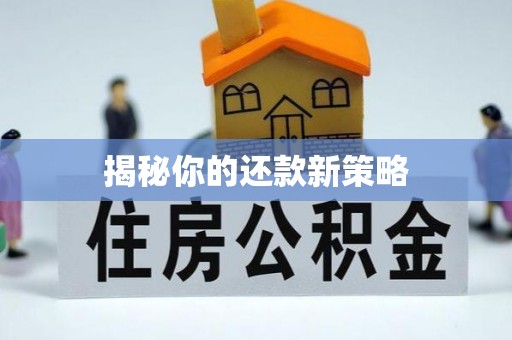 汨罗揭秘你的还款新策略