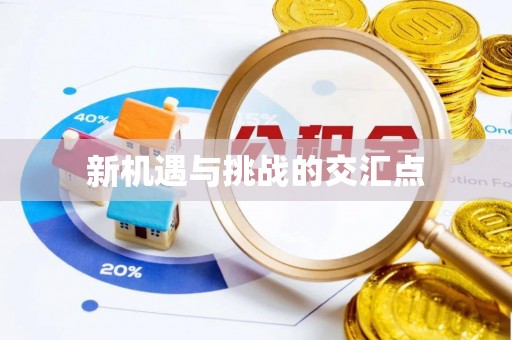 汨罗新机遇与挑战的交汇点