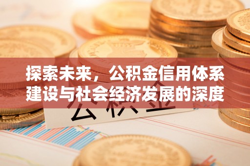 汨罗探索未来，公积金信用体系建设与社会经济发展的深度融合