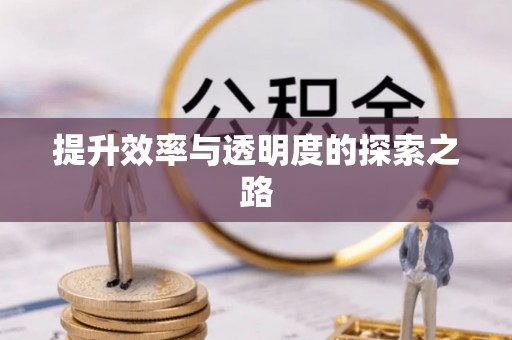 汨罗提升效率与透明度的探索之路