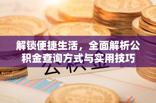 汨罗解锁便捷生活，全面解析公积金查询方式与实用技巧
