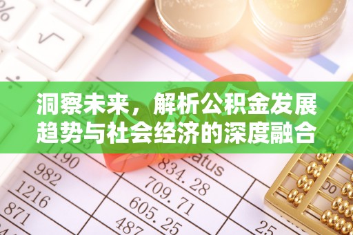 汨罗洞察未来，解析公积金发展趋势与社会经济的深度融合