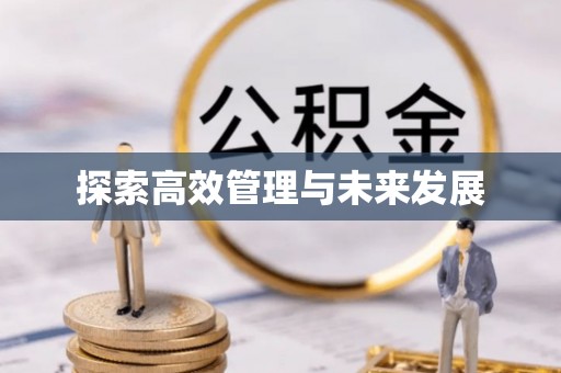 汨罗探索高效管理与未来发展