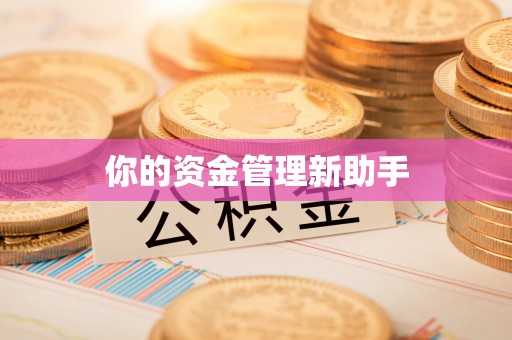 汨罗你的资金管理新助手