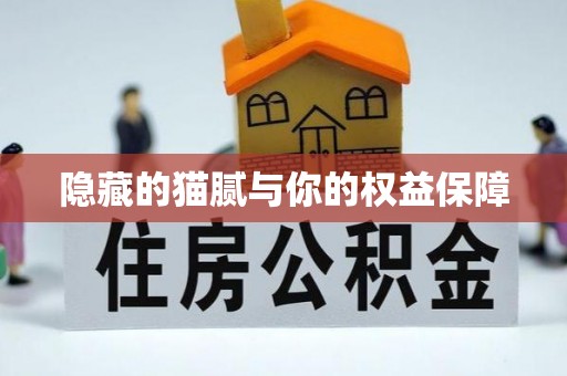 汨罗隐藏的猫腻与你的权益保障