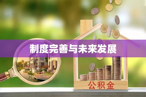 汨罗制度完善与未来发展