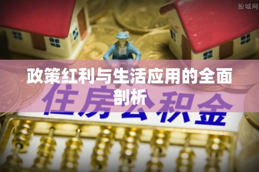 汨罗政策红利与生活应用的全面剖析
