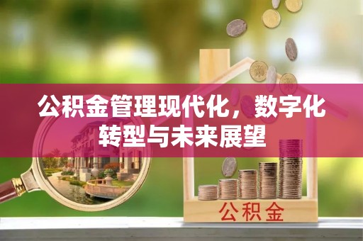 汨罗公积金管理现代化，数字化转型与未来展望