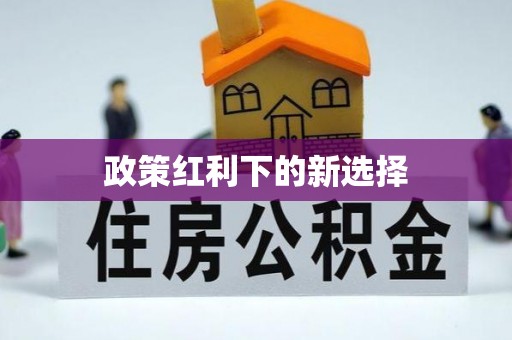 汨罗政策红利下的新选择