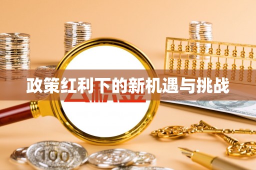 汨罗政策红利下的新机遇与挑战