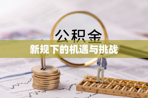 汨罗新规下的机遇与挑战
