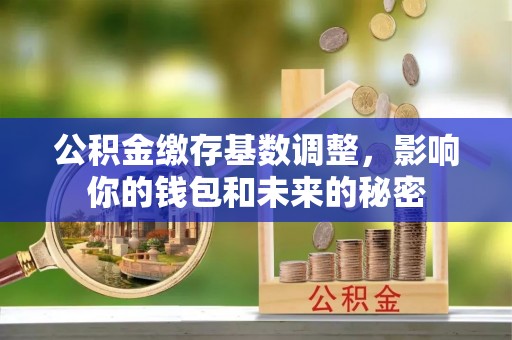 汨罗公积金缴存基数调整，影响你的钱包和未来的秘密