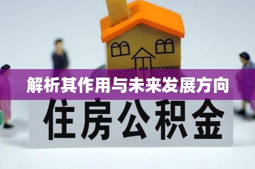 汨罗解析其作用与未来发展方向