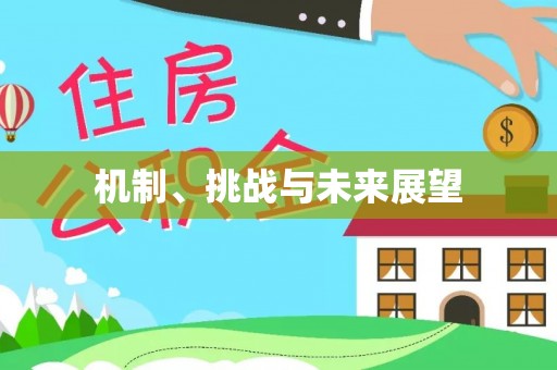 汨罗机制、挑战与未来展望